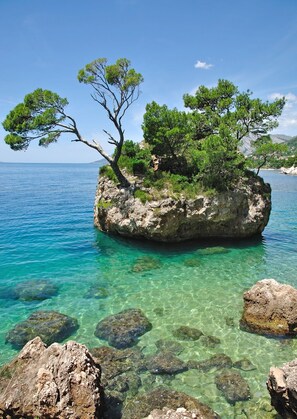 Una spiaggia nelle vicinanze