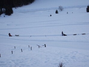 Sports d’hiver