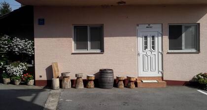 Apartments and Rooms Pavek