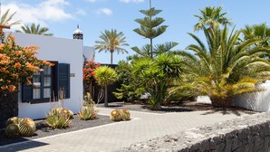 A courtyard with a white building, palm trees, and cacti.