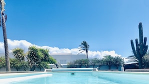 A clear blue pool with a white deck, surrounded by palm trees and cacti, under a bright blue sky.