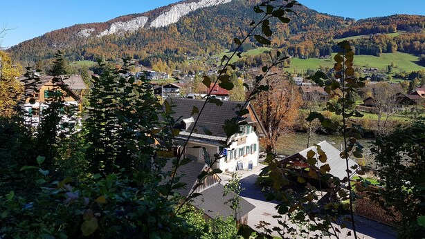 A mountain with a clear sky, a town with buildings, and autumn foliage. - Apartment Sonnenblick - Apartments Winkler (Bad Goisern am Hallstättersee)