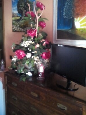 Flat-screen TV