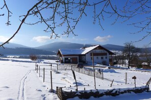 Esterni