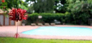 Alberca al aire libre 