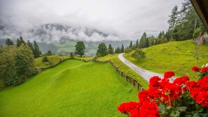 A green landscape with a winding road, trees, and a fence. - Apartment Talblick - Biohof Maurachgut (Bad Hofgastein)
