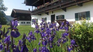 Ein traditionelles Chalet mit Balkon, umgeben von einem Garten mit violetten Blumen.