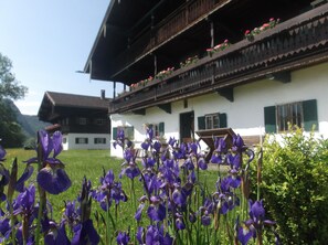 Traditional chalet-style building with a balcony and lush garden surroundings.