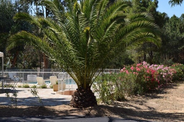 Seasonal outdoor pool - Camping Paradella (Calvi)