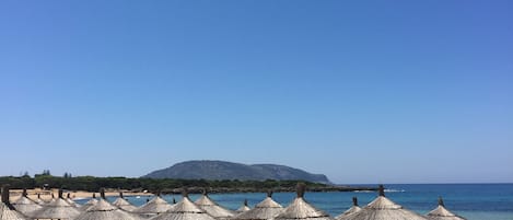 Bar en la playa