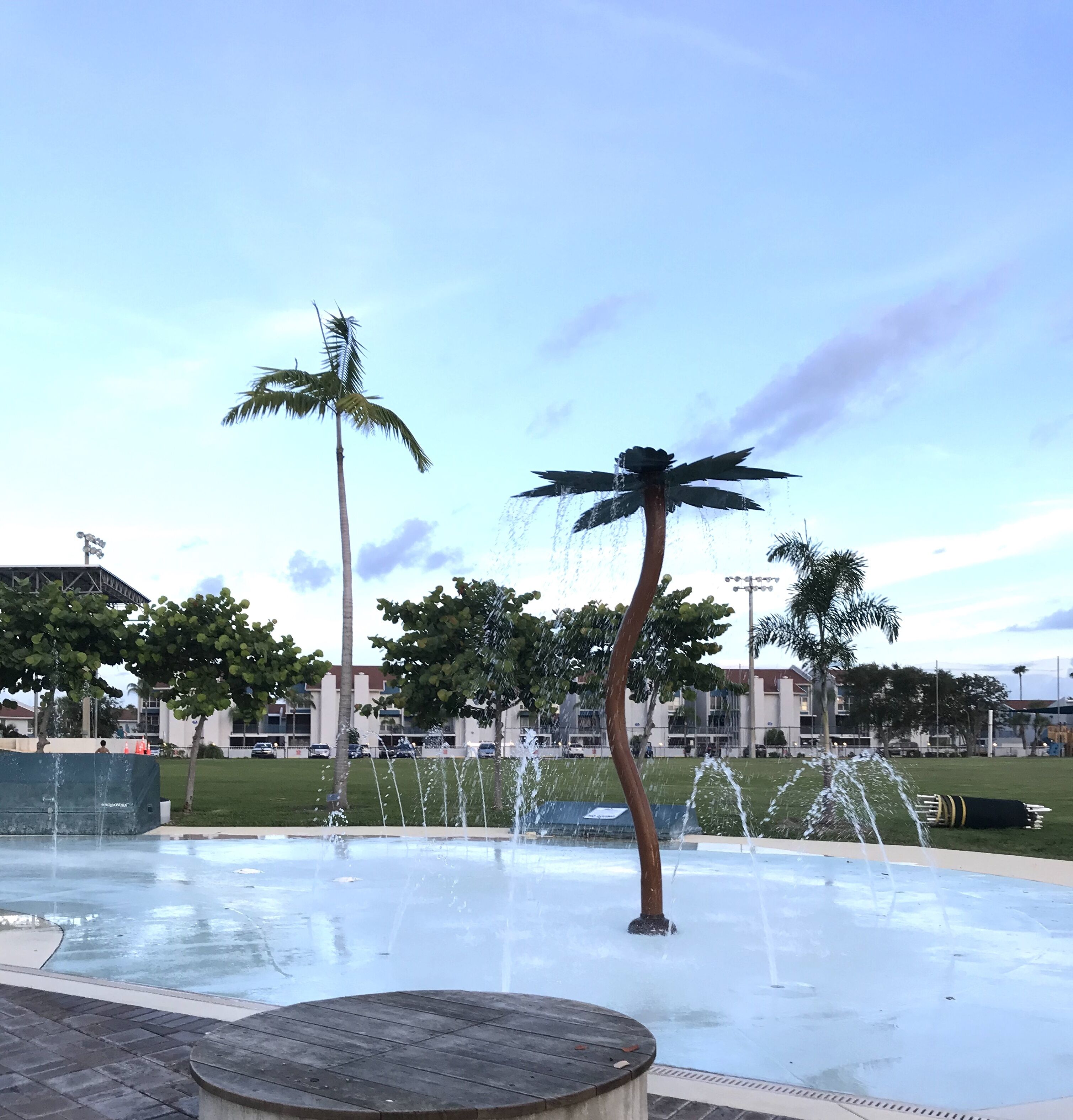 A public fountain with multiple water jets, surrounded by palm trees and a grassy area.