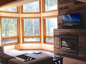 TV, fireplace, books