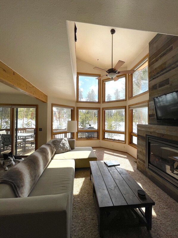 Televisión, chimenea, libros