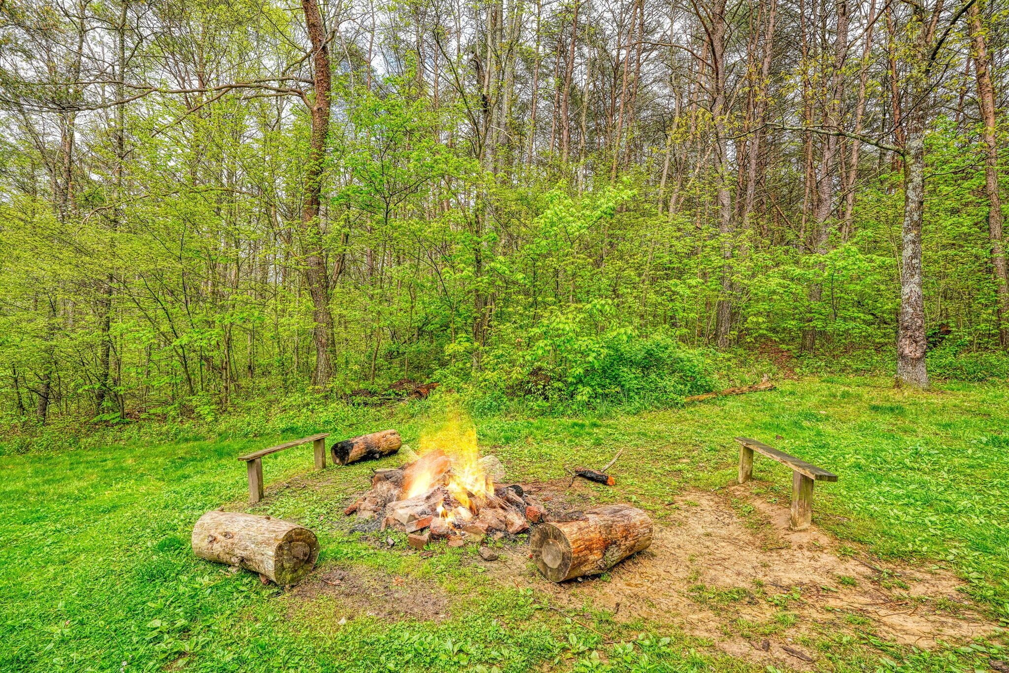 A campfire surrounded by logs and benches in a forested area.