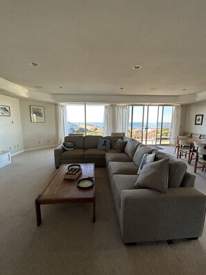 Smart TV, fireplace, video games, DVD player - Spacious 5-bedrm home:Ocean Views,hot tub,BBQ,pool & ping pong tables, fast wifi (Bodega Bay)