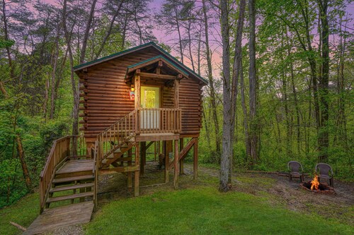 Blue Rose Cabins - Treetops Cabin