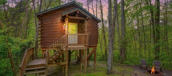 Blue Rose Cabins - Treetops Cabin