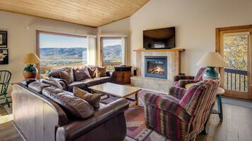 Smart TV, fireplace, DVD player, books