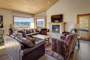 Smart TV, fireplace, DVD player, books