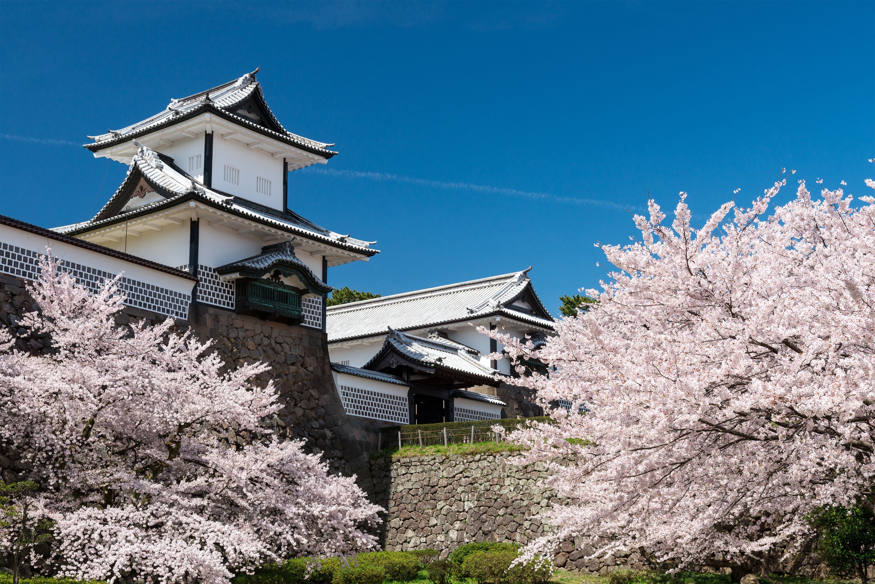 A traditional Japanese castle with multiple levels and a stone wall.