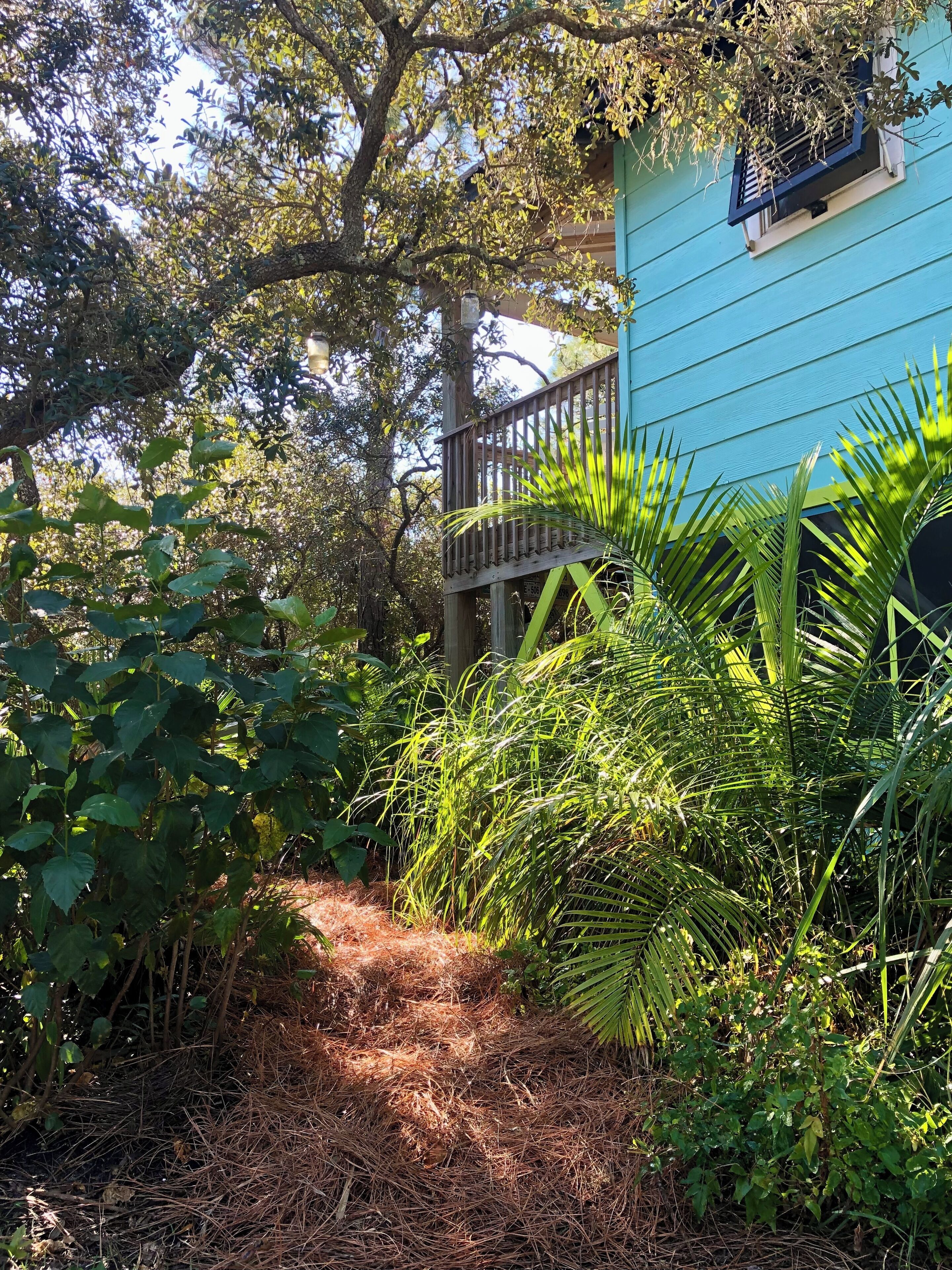 Área da propriedade