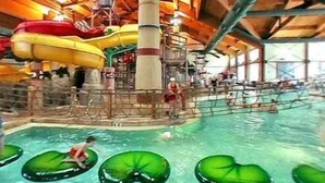 Een overdekt waterpark met glijbanen, een zwembad en drijvende platte lotusbladeren.