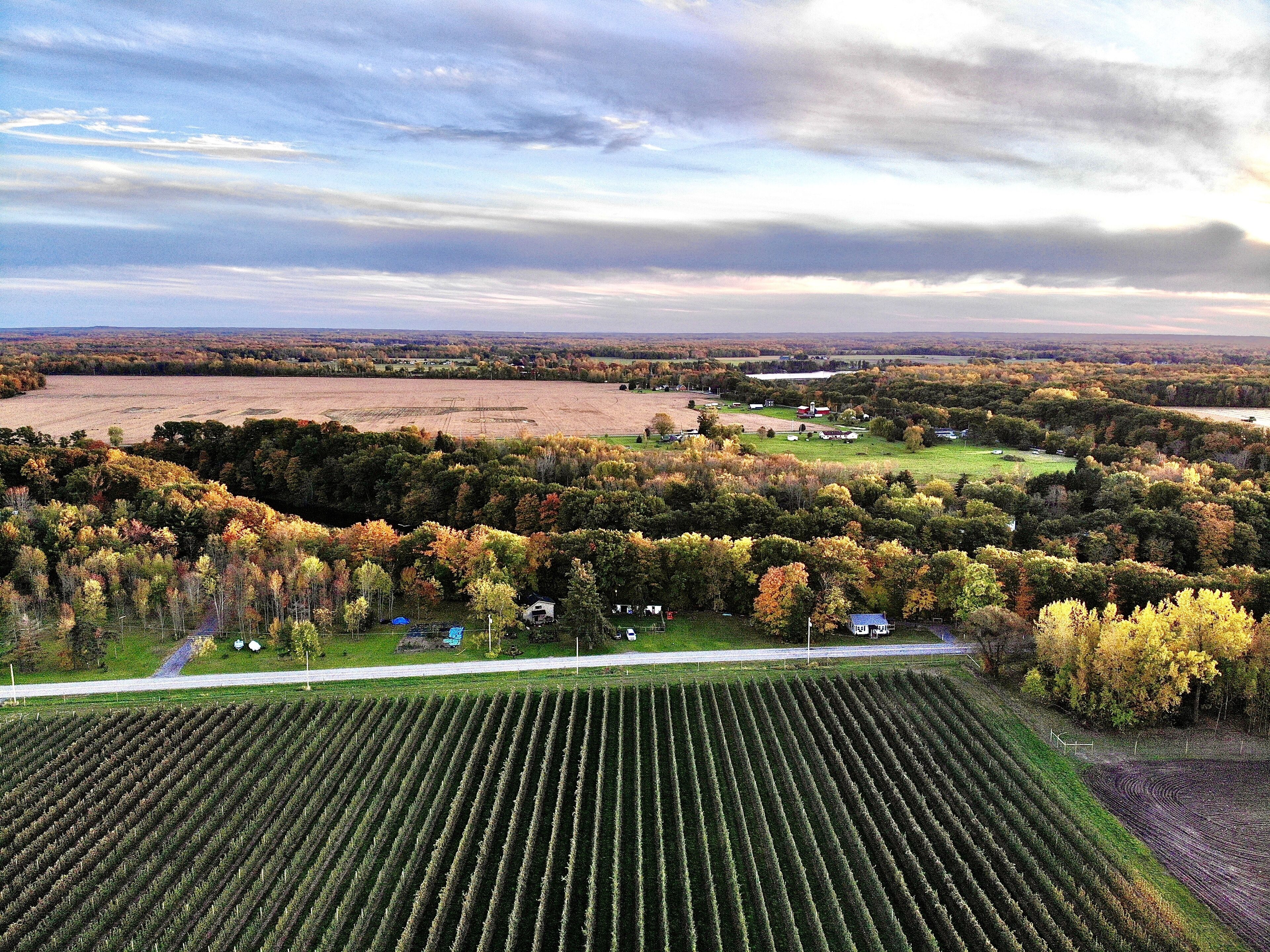 An aerial view of a rural landscape with fields, trees, and scattered buildings.