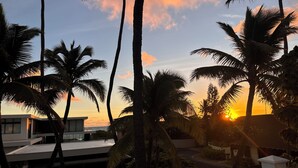 A sunset view with palm trees and a modern building.