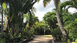 A paved pathway flanked by lush tropical vegetation, including palm trees and various flowering plants.