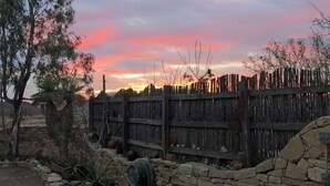 A rustic outdoor setting with a wooden fence, stone walls, and a palm tree.