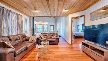 Smart TV, fireplace, video games, DVD player