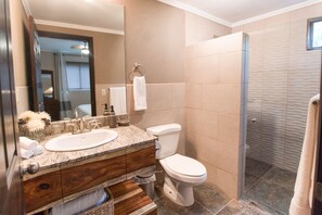 Regadera, secadora de cabello, toallas, papel de baño 