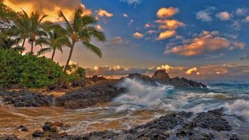 Plage, chaises longues, serviettes de plage