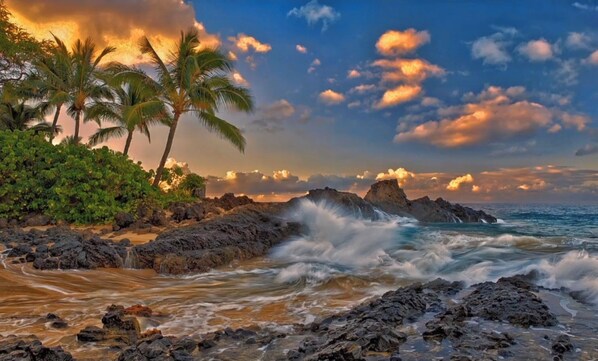 Plage, chaises longues, serviettes de plage