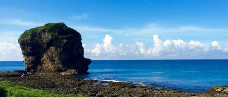 A rocky coastline with a prominent rock formation covered in greenery, a clear blue sky, and the ocean.