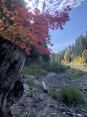 Property grounds - Osprey Nest Cabin:  Cozy private mountain cabin on the Wenatchee River






 (Leavenworth)