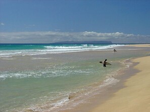 ビーチの近く、サンラウンジャー、ビーチタオル