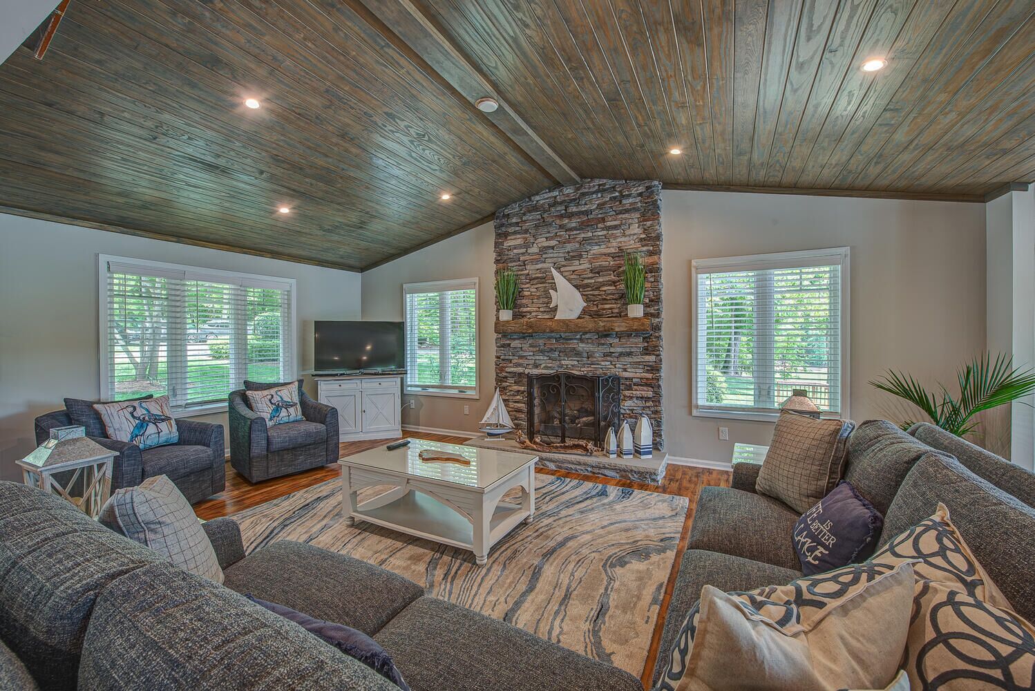 TV connectée, cheminée, lecteur de DVD