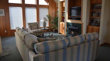 TV connectée, cheminée, lecteur de DVD, livres