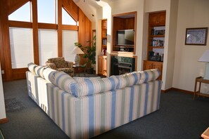 Smart TV, fireplace, DVD player, books