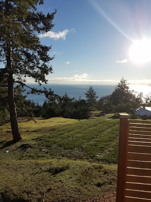 Enjoy a serene ocean view from a tranquil outdoor space surrounded by lush greenery.