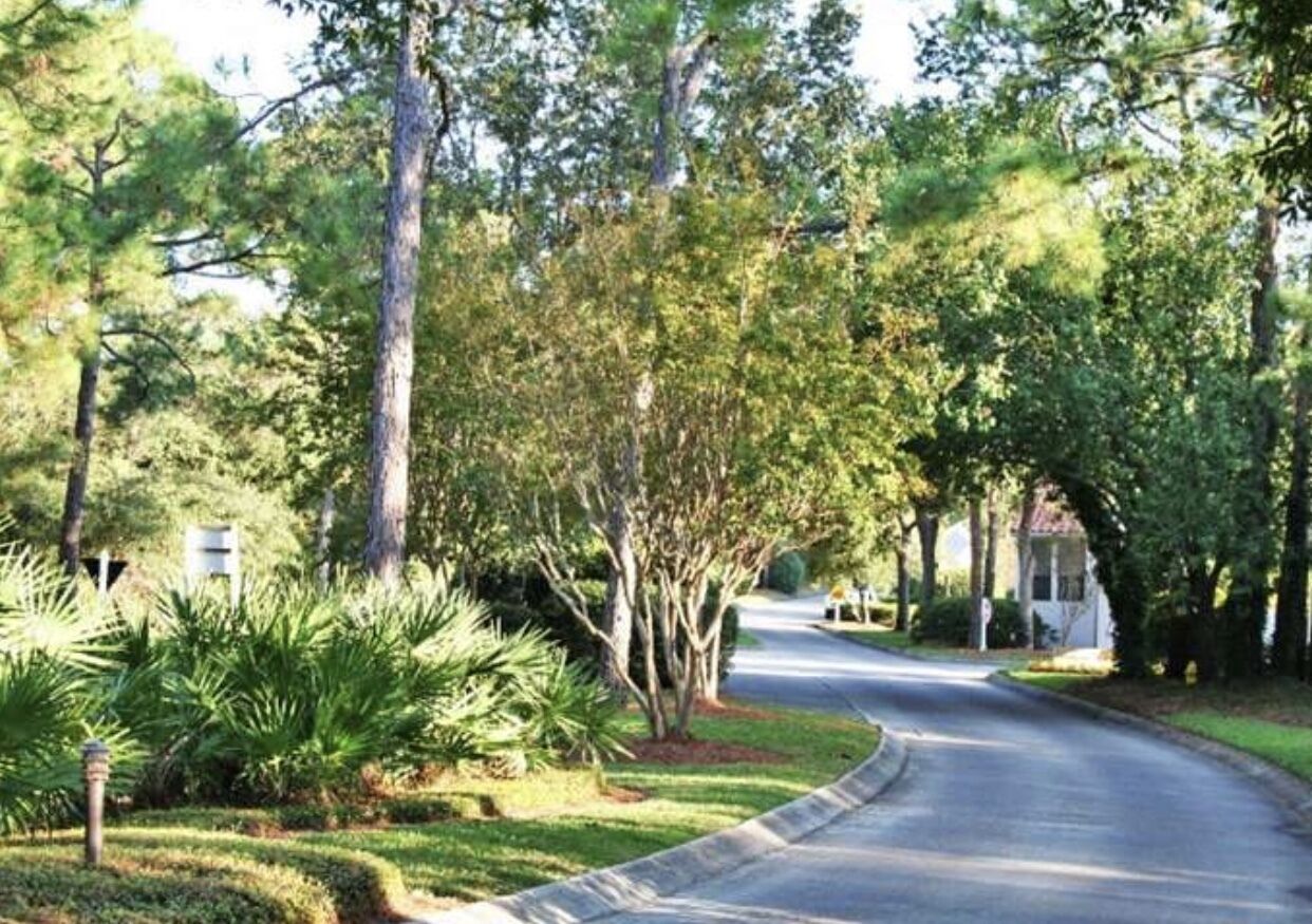 A residential street lined with trees and a well-maintained lawn.
