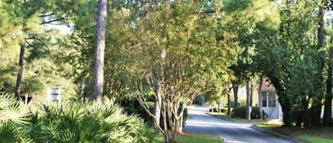 A residential street lined with trees and a well-maintained lawn.