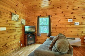 DVD player - Blue Rose Cabins - Overlook Cabin (Logan)