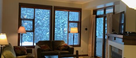 Smart TV, fireplace, DVD player