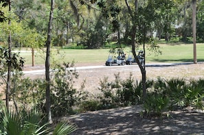 Golf cart parked on a scenic path surrounded by lush trees and shrubs.