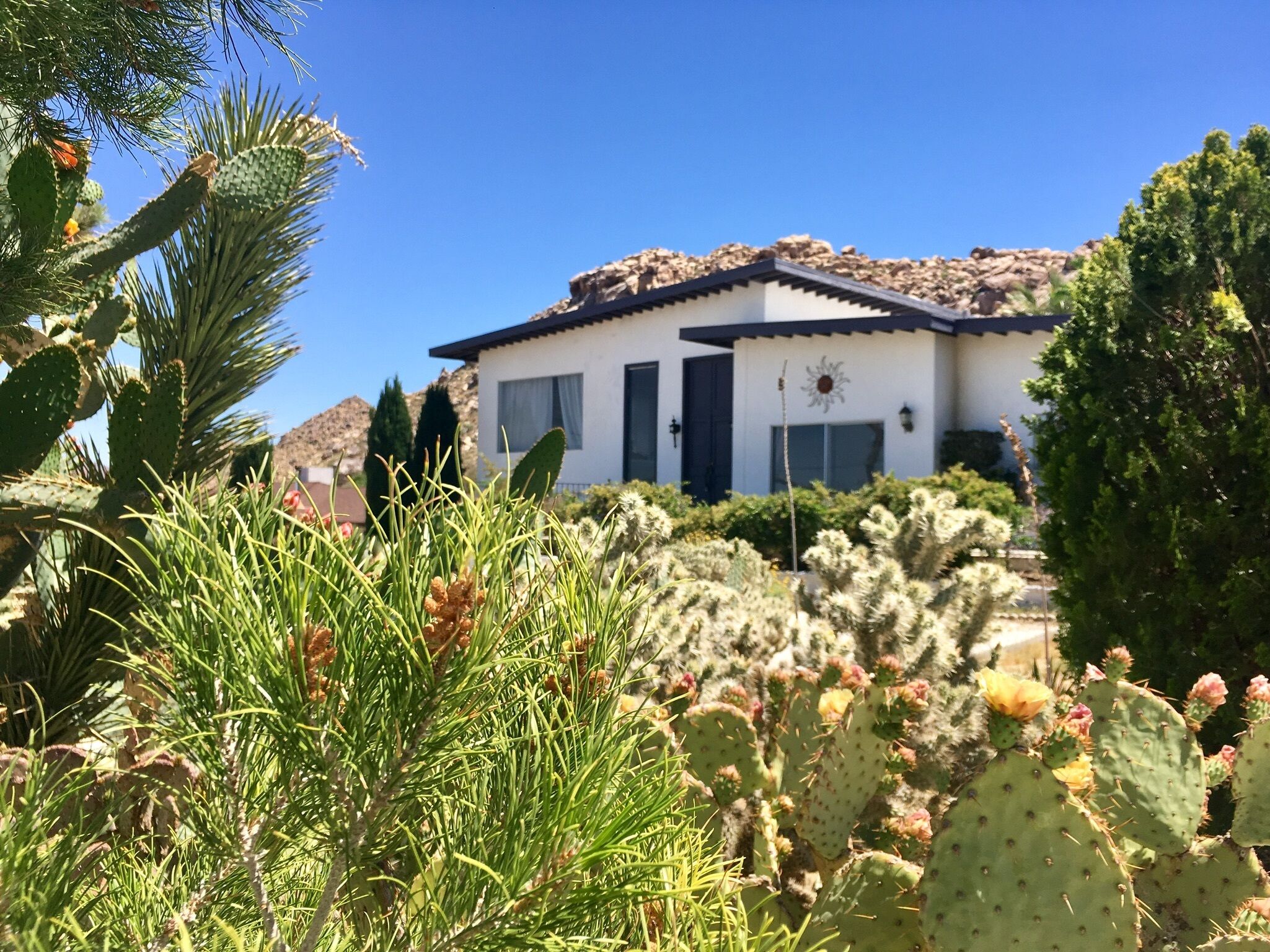 Mid Century Modern - Direct Park Access