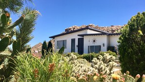 A modern house with a white exterior, surrounded by desert vegetation including cacti and a palm tree. - Mid Century Modern - Direct Park Access with Stargazing Patio (Joshua Tree)