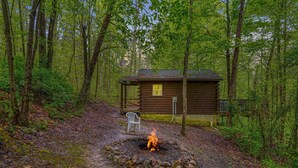A rustic cabin with a fire pit in the center, surrounded by a forest.