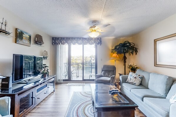 TV, DVD player, video library